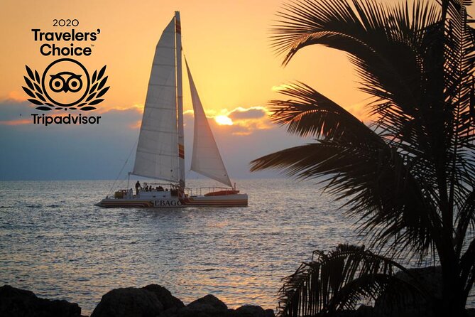 Key West Sunset Sail: Dolphin Watching, Wine, and Tapas - Who will enjoy this catamaran cruise?