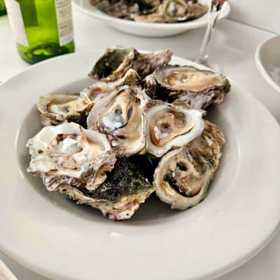 Knysna Lagoon: Boat Cruise with Oyster & White Wine Tasting - Leaving Thesen Island with oysters on board