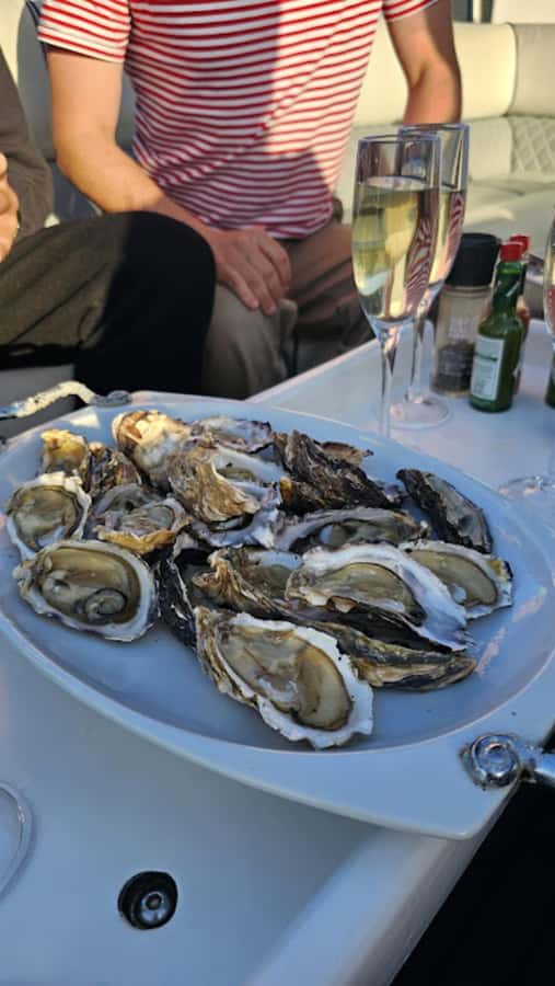 Knysna: Wine & Oyster Luxury Lounger Sunset Cruise - A gentle sunset ride on Knysna Estuary