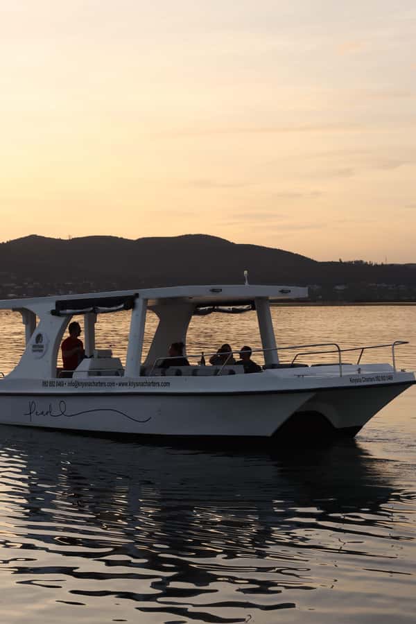 Knysna: Wine & Oyster Luxury Lounger Sunset Cruise - Timing, weather, and practical preparation