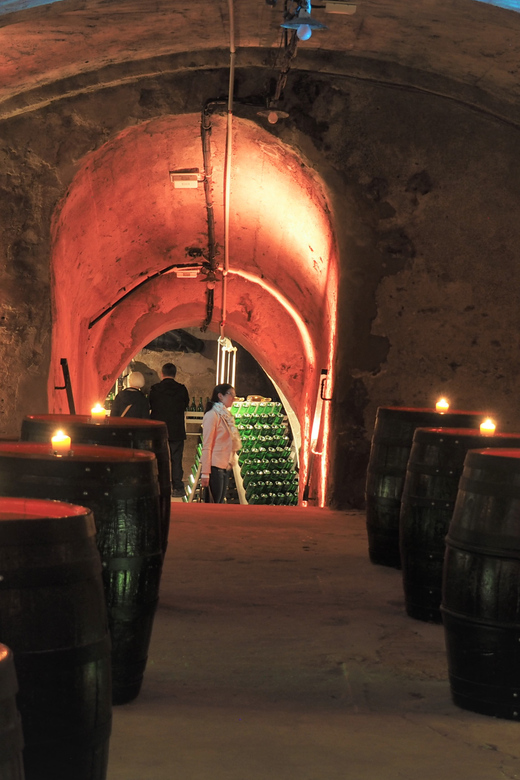 Koblenz: Historical Sparkling Wine Museum Guided Tour - The tasting glass at the end
