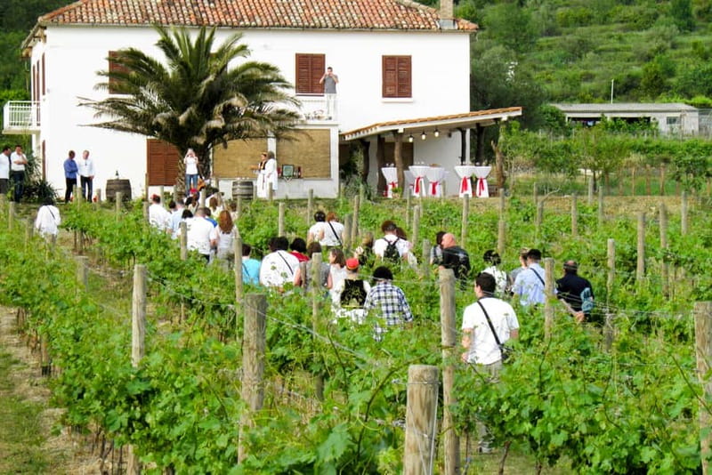 Konavle Valley: Tour with Wine Tasting from Dubrovnik - Why Konavle makes a good day outside Dubrovnik