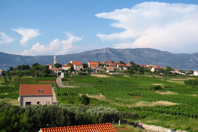Korcula Bike & Wine Tour | Wine Tasting in Lumbarda - Practical details that affect your choice
