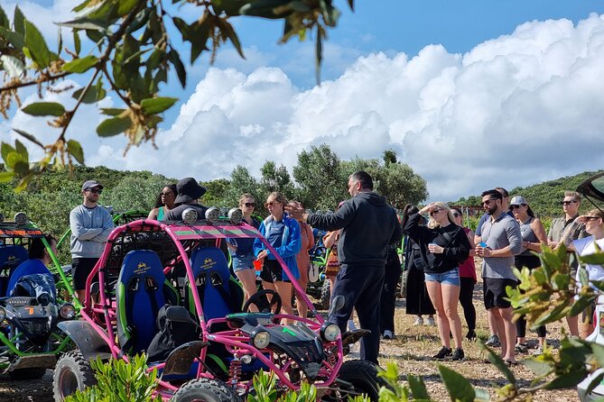 Korcula Buggy (Official) Safari Tour -Local Food & Wine Tasting- - Vineyards, olive groves, and the GRK grape