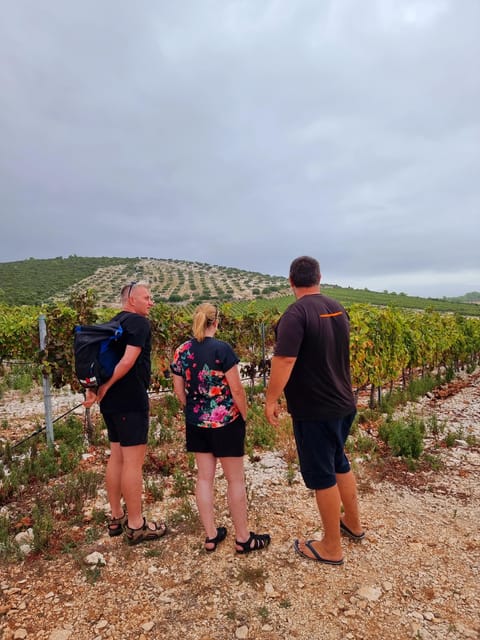 Korcula: Buggy Safari with Local Food and Wine Tasting - FAQ