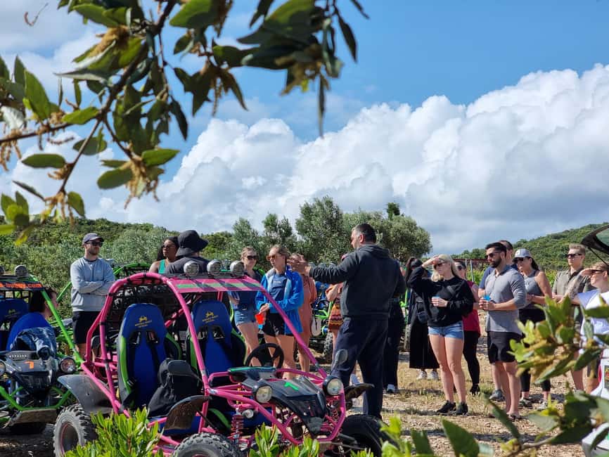 Korcula: Buggy Safari with Local Food and Wine Tasting - Who should book this Korcula experience?
