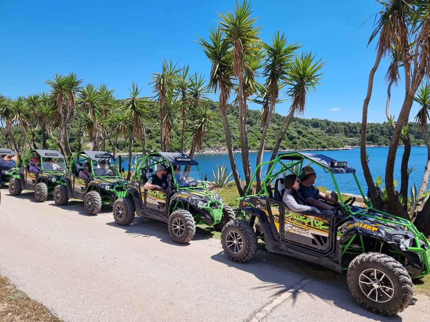 Korcula: Buggy Safari with Local Food and Wine Tasting - Views through olive groves and Korcula’s back roads