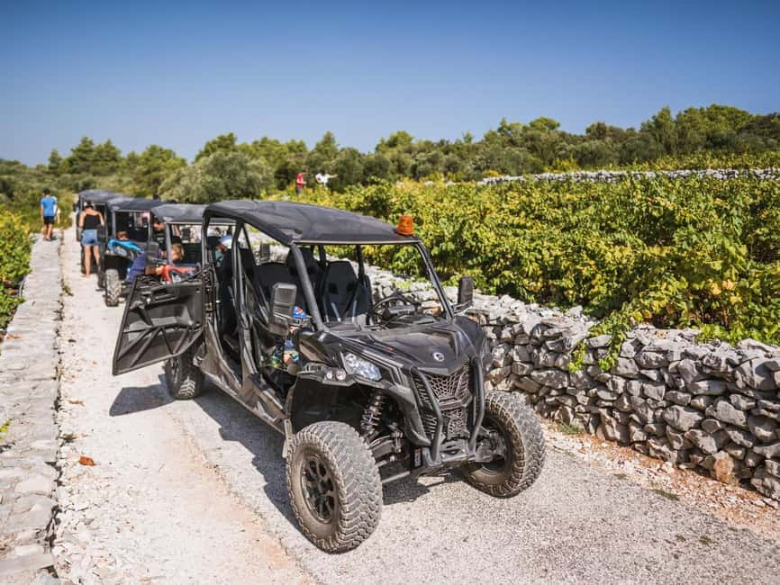 Korcula Buggy Safari With Wine Tasting - Why the buggy format works well on Korcula