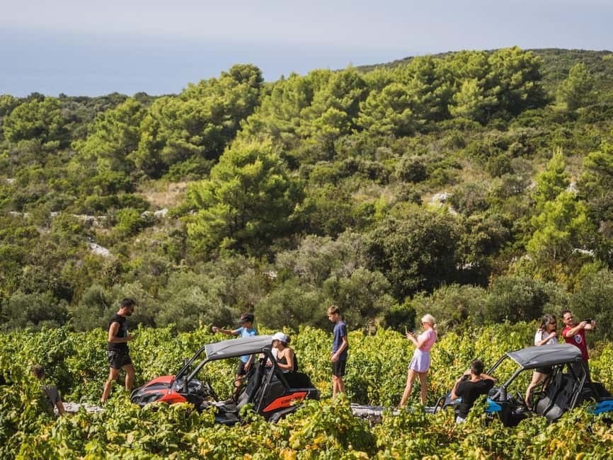 Korcula Buggy Safari With Wine Tasting - Is $129 per person good value?