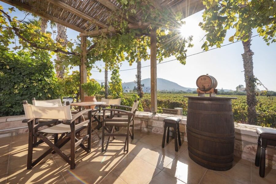 Kos: Wineries Tour w/ Wine Tastings & Transportation - Key points to know before booking