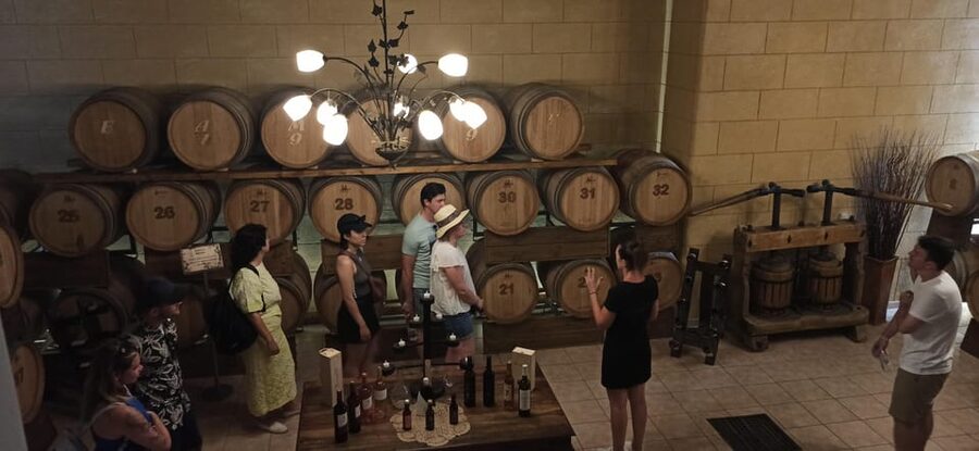 Kos: Wineries Tour w/ Wine Tastings & Transportation - Timing, group size, and the pace of the afternoon