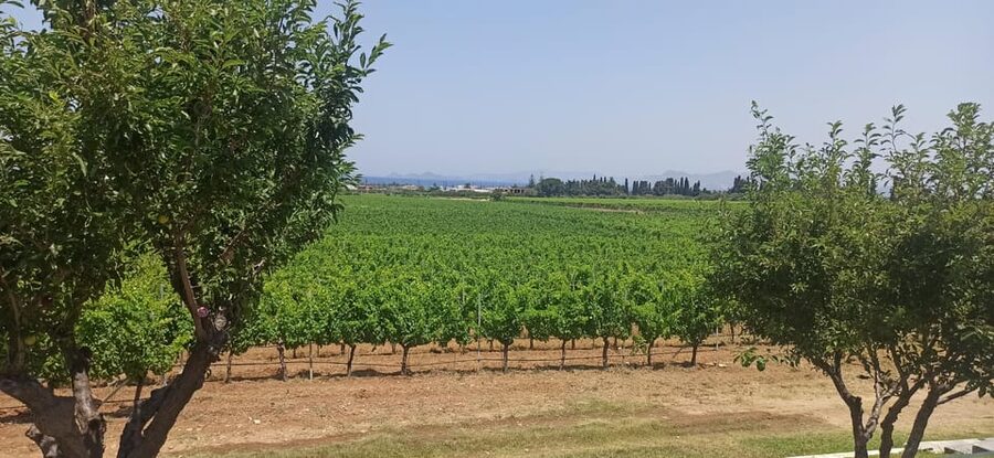 Kos: Wineries Tour w/ Wine Tastings & Transportation - Who will enjoy this Kos wine tour?