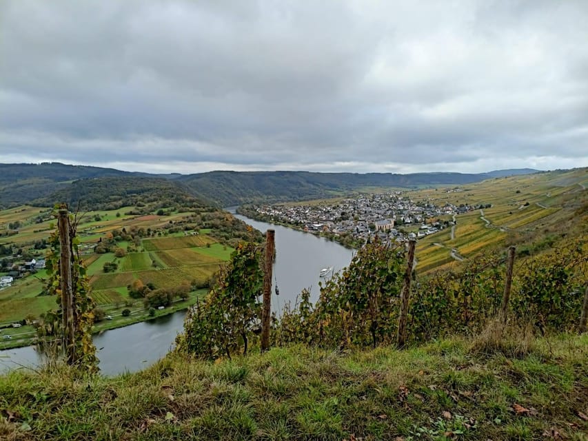 Kröv, Mosel: Covered wagon ride through the vineyards with wine tasting - Key points to know before booking
