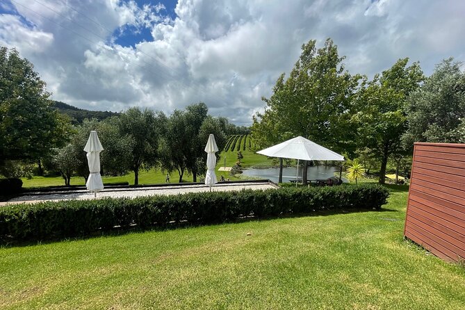 Kumeu Wine Tour - Why Kumeu works as an easy Auckland escape