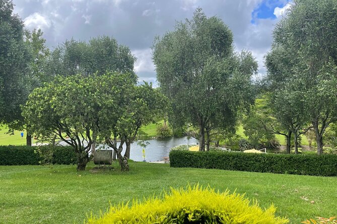 Kumeu Wine Tour - Westbrook Winery, lunch and the longest visit