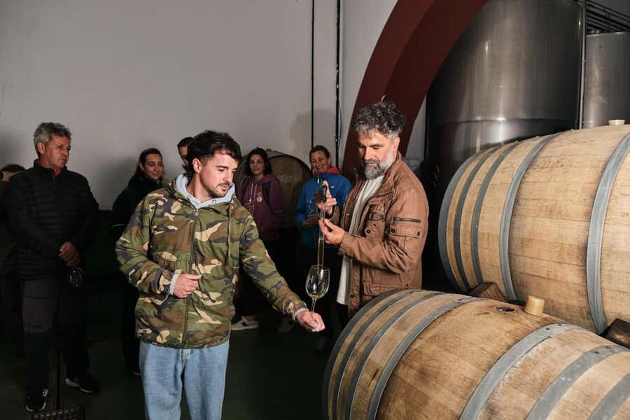 La Palma: Bodegas Teneguia Winery Tour with Wine Tasting - Starting at the reception hall