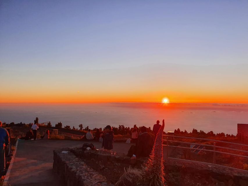 La Palma: Roque de los Muchachos Stargazing Tour with Wine - Who will enjoy this La Palma night tour?