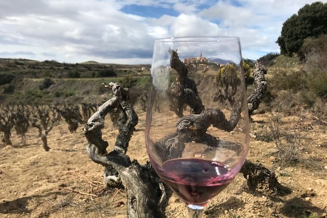 La Rioja Boutique Wine Tour & Charming Lunch (From Bilbao) - San Vicente de la Sonsierra and modern Rioja
