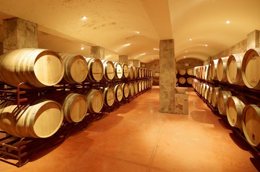 Lagoa: Guided Winery Tour and Local Wine Tasting - Why Quinta dos Vales feels different from a standard winery visit
