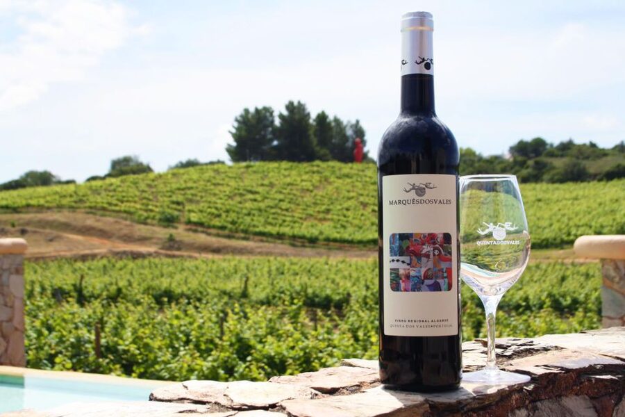Lagoa: Guided Winery Tour and Local Wine Tasting - Tasting award-winning wines on the terrace