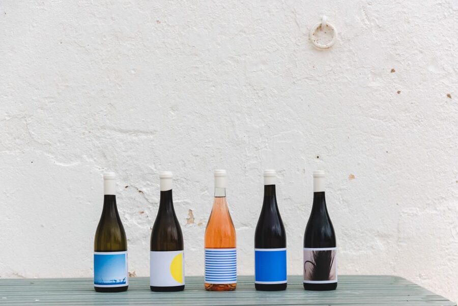 Lagoa: Vineyard Tour and Wine Tasting - Morgado do Quintão and the old Algarve vines