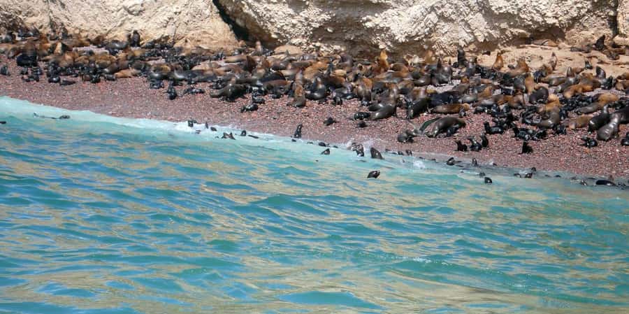 Lagos/Praia da Luz: Wine Tour, Tastings, Tapas, and Music - What the 4.8 rating tells you