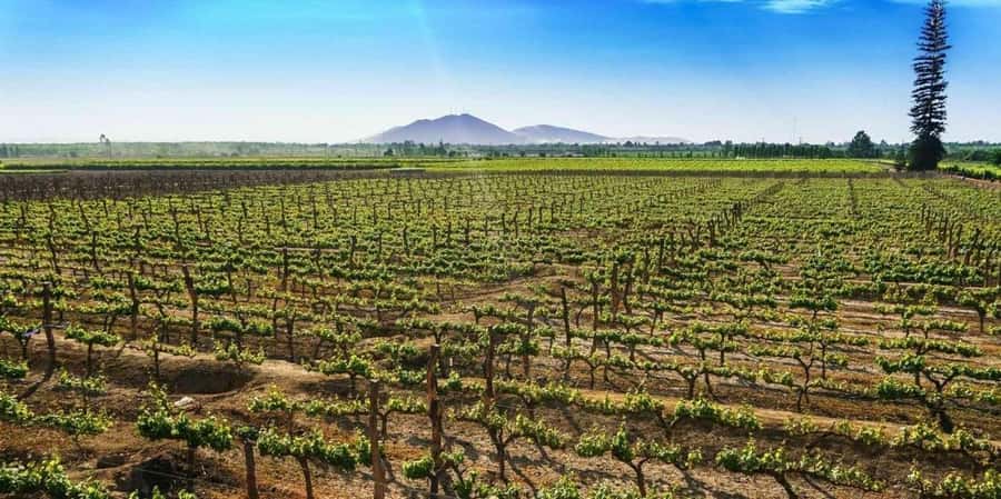 Lagos/Praia da Luz: Wine Tour, Tastings, Tapas, and Music - Shared group or private booking?