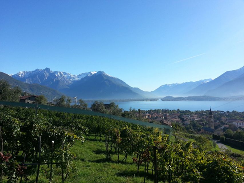 Lake Como: Winery Tour with Wine Tasting - The terrace is part of the experience