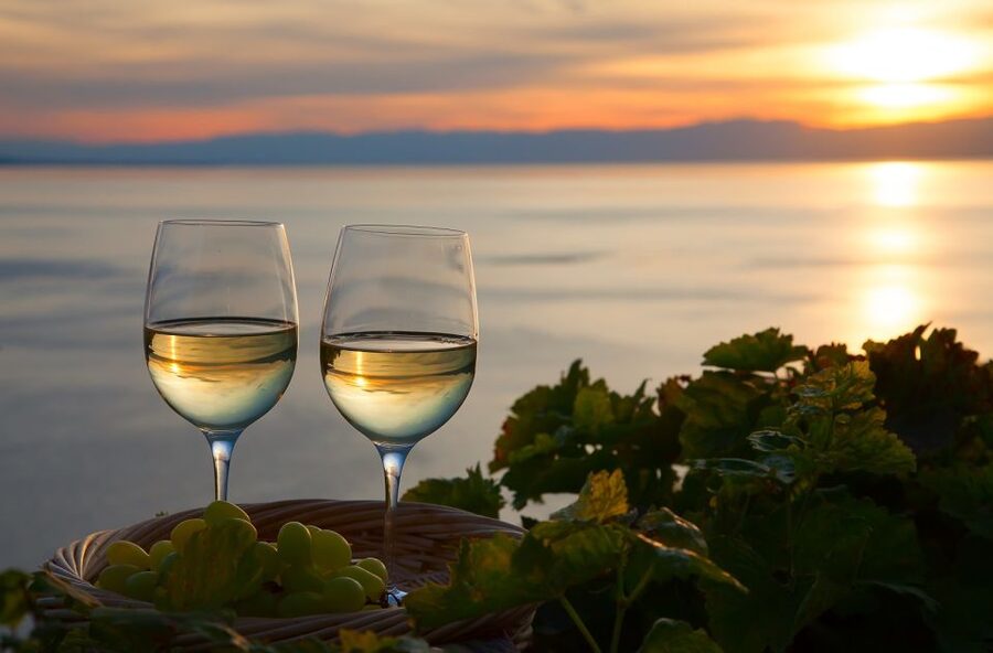 Lake Como: Winery Tour with Wine Tasting - How much value do you get for $74?
