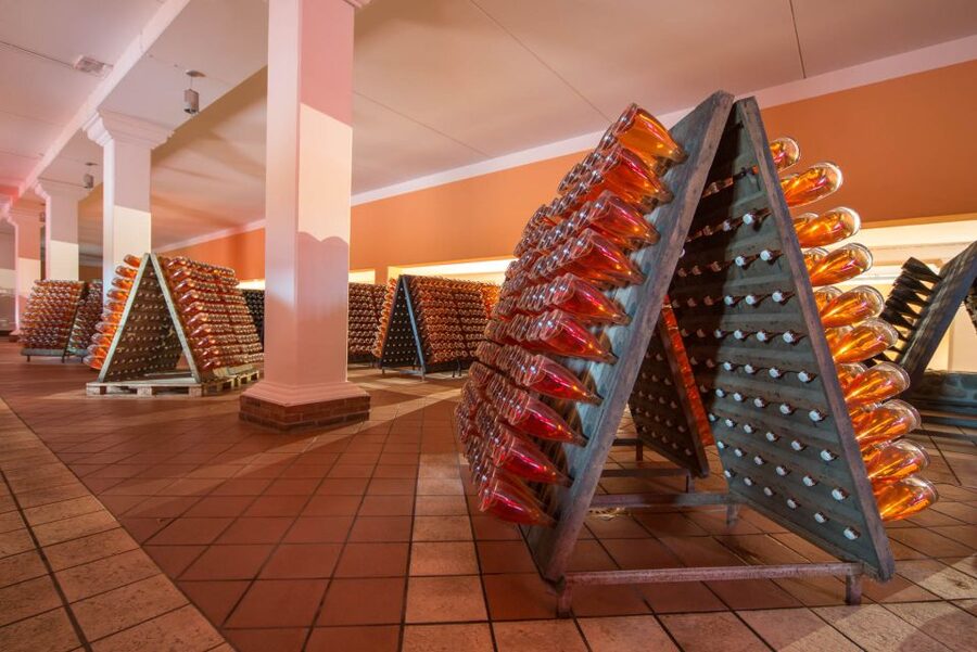 Lake Garda: Garda Hills Wine Tour and Tasting - Cold cuts, cheese, bruschetta, and Garda olive oil