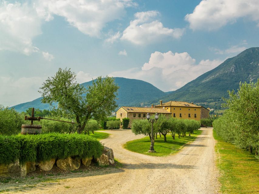 Lake Garda: Garda Hills Wine Tour and Tasting - How the two hours may feel