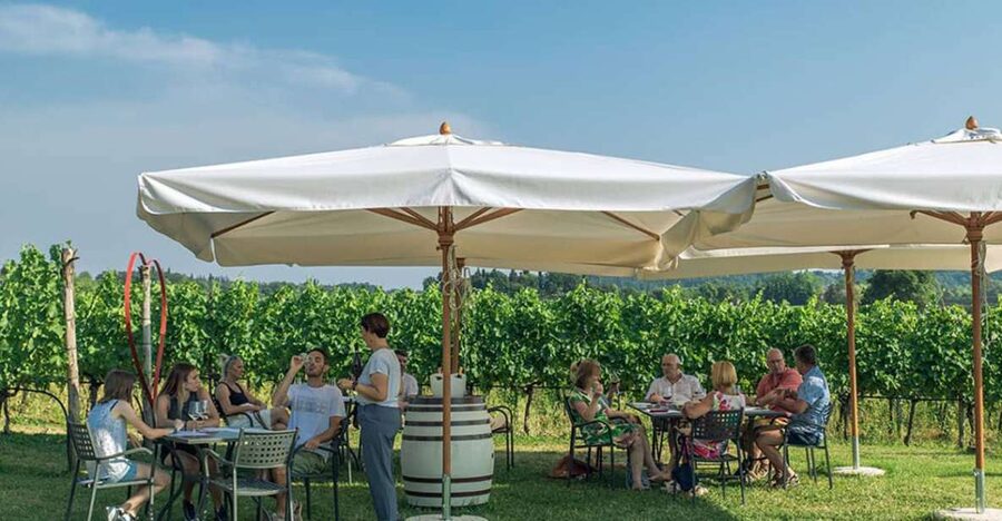 Lake Garda: Wine and Food Tastings in the Vineyards - Key points to know before booking