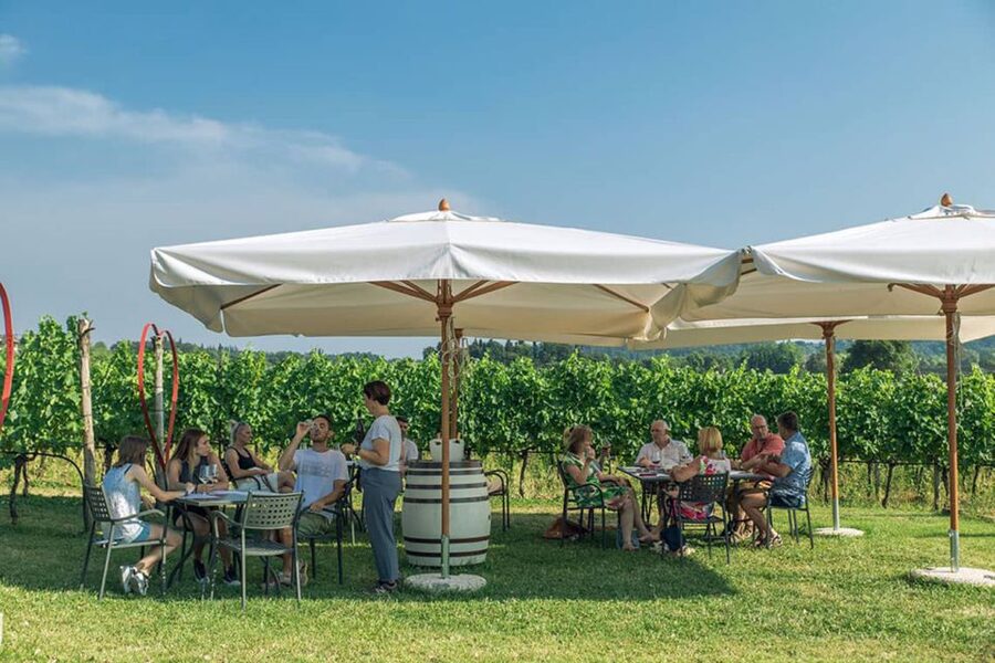 Lake Garda: Wine and Food Tastings in the Vineyards - Salami, cheese, bread, and Garda olive oil