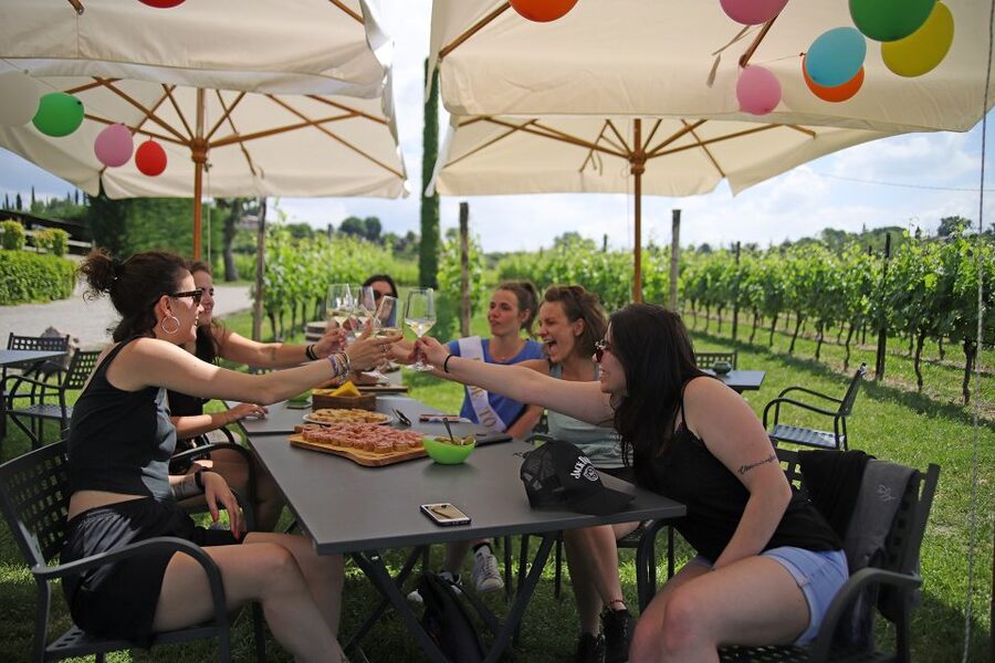 Lake Garda: Wine and Food Tastings in the Vineyards - What the $50 price really covers