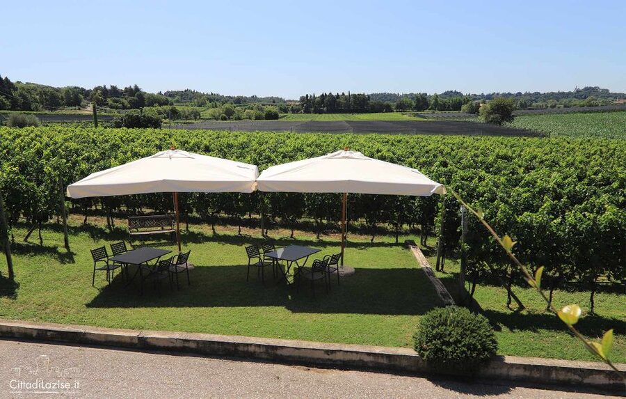 Lake Garda: Wine and Food Tastings in the Vineyards - Who will enjoy this Lake Garda tasting?