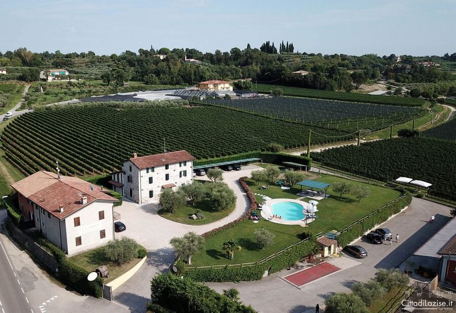 Lake Garda: Wine and Food Tastings in the Vineyards - Should you book the Le Ginestre tasting?