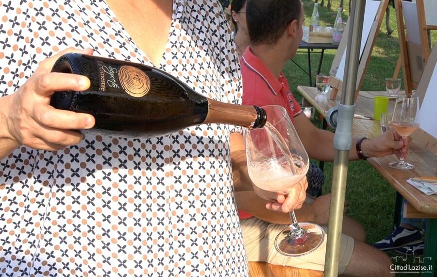 Lake Garda: Wine and Food Tastings in the Vineyards - Garganega, Chiaretto, and the Garda wine connection