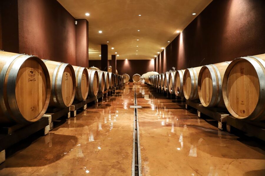 Lake Garda: Wine Tour and Tasting Experience in Bardolino - What the Tenuta La Cà visit is really like