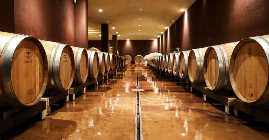 Lake Garda: Wine Tour and Tasting Experience in Bardolino - The people make the difference