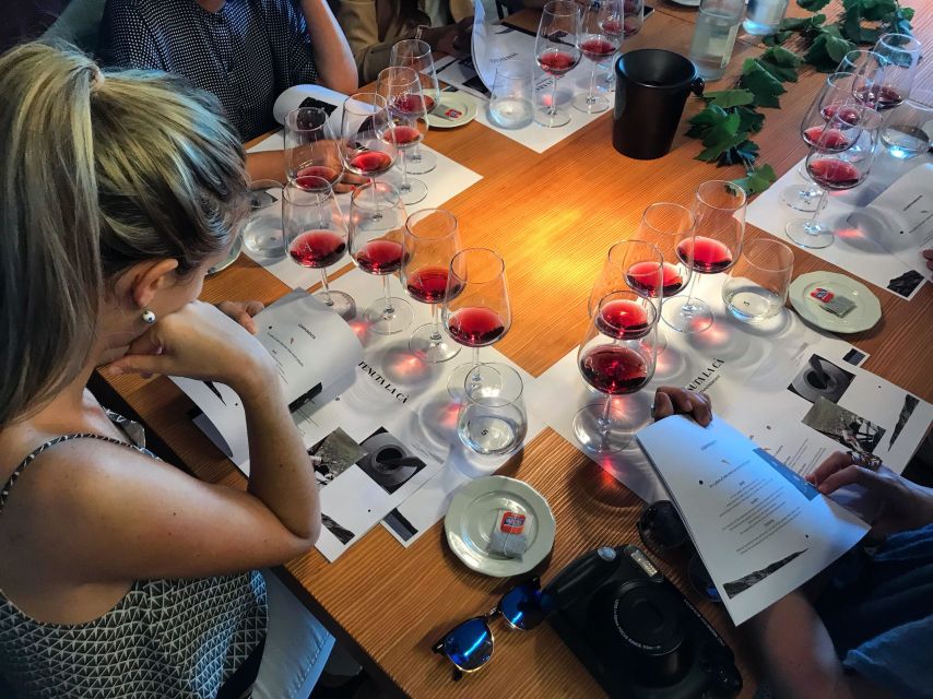 Lake Garda: Wine Tour and Tasting Experience in Bardolino - Four wines with Bardolino scenery