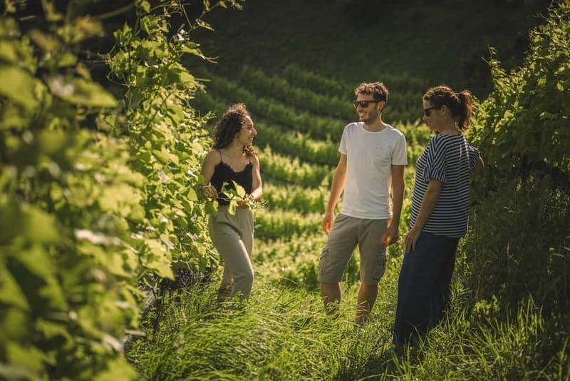 Lake Ledro: wine Pic Nic with stunning Lake View - What comes in the basket for two