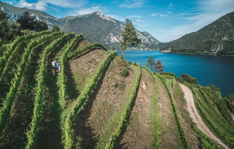 Lake Ledro: wine Pic Nic with stunning Lake View - Timing, languages, and planning tips