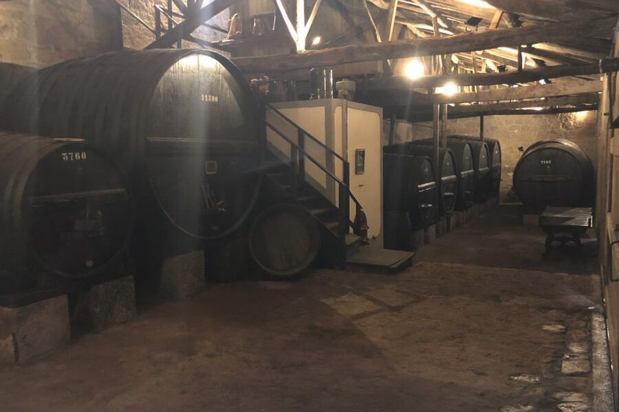 Lamego: Quinta da Portela de Baixo Winery Tour and Tasting - The Wine Cellar Museum and two centuries of work