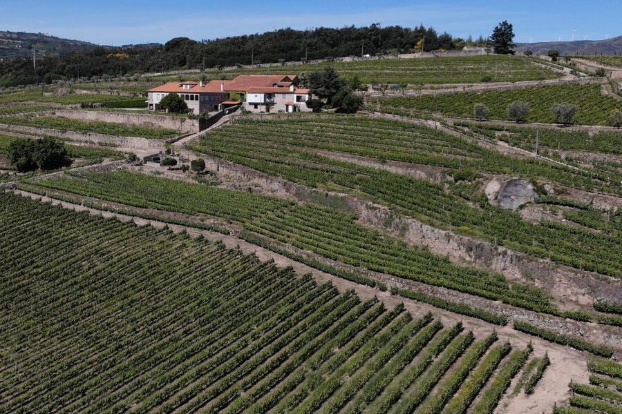 Lamego: Quinta da Portela de Baixo Winery Tour and Tasting - Who will enjoy this visit most