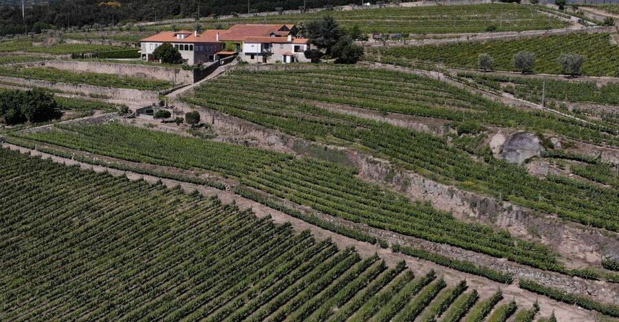 Lamego: Quinta da Portela de Baixo Winery Tour and Tasting - Should you book Quinta da Portela de Baixo?