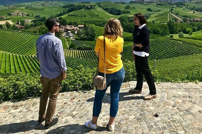 Langhe Wine Tour and Tasting - One day with a Somm - Key points to know before booking