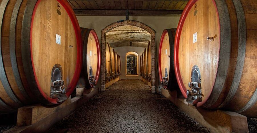 Langhe: Winery Tour and Wine Tasting - Walking through the cellar and estate