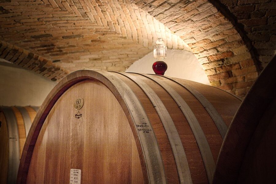 Langhe: Winery Tour and Wine Tasting - Tasting Nebbiolo and one Barolo