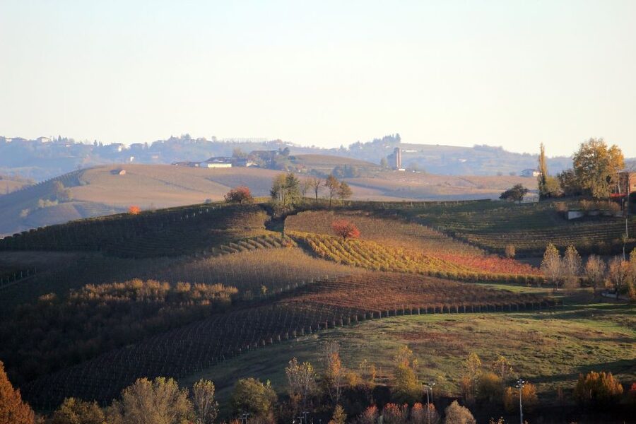 Langhe: Winery Tour and Wine Tasting - Is $45 a fair price?