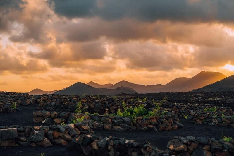 Lanzarote: Sunset vineyard tour with wine and chocolate tasting - Key points at a glance